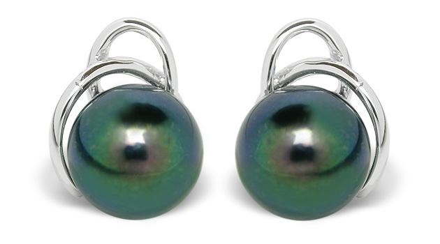 Black Pearl Earring Paco Akoya Cultured