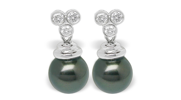 Black Pearl Earring Savannah Akoya Cultured