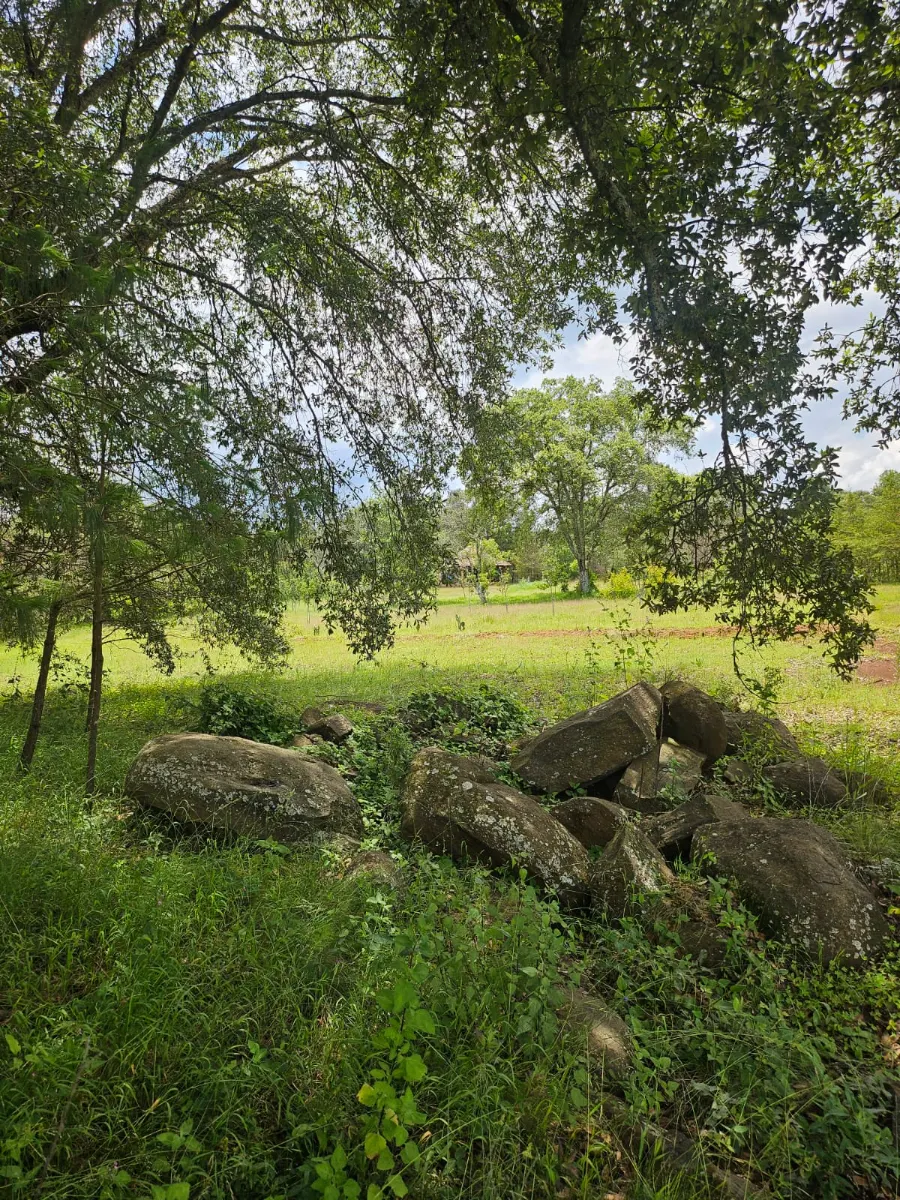 Foto 10 de terreno en venta en San Pablo Ojo de Agua, Pachuca: Propiedad Campestre en Huasca Pueblo Magico cercano a Atotonilco,