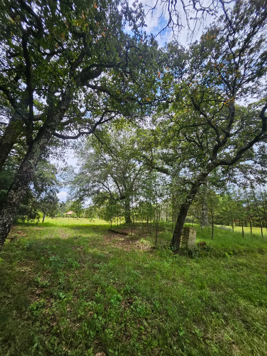 Foto 17 de terreno en venta en San Pablo Ojo de Agua, Pachuca: Propiedad Campestre en Huasca Pueblo Magico cercano a Atotonilco,