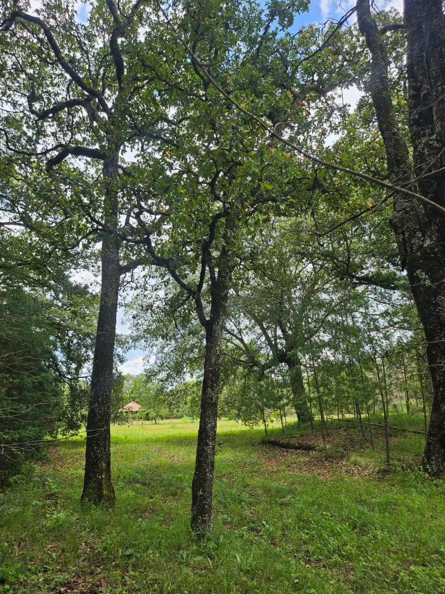 Foto 18 de terreno en venta en San Pablo Ojo de Agua, Pachuca: Propiedad Campestre en Huasca Pueblo Magico cercano a Atotonilco,