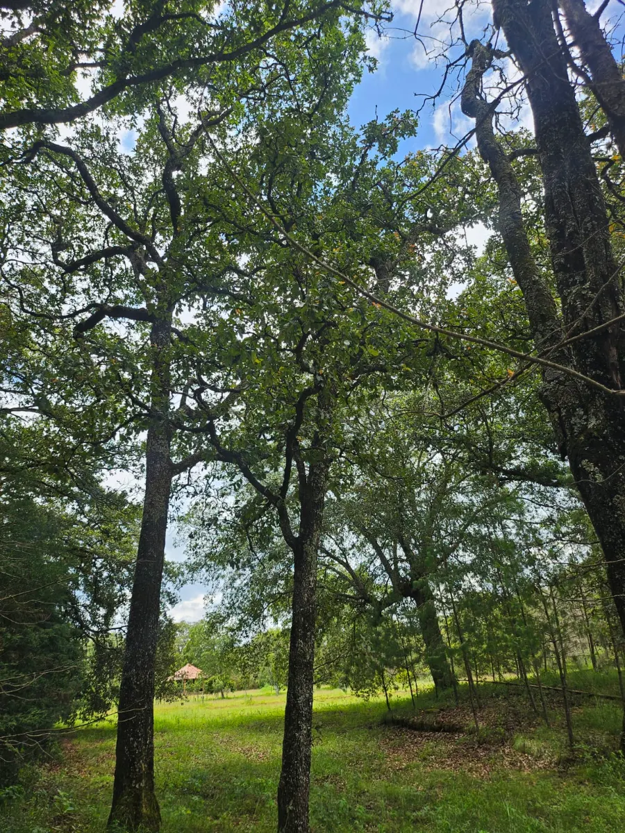 Foto 19 de terreno en venta en San Pablo Ojo de Agua, Pachuca: Propiedad Campestre en Huasca Pueblo Magico cercano a Atotonilco,
