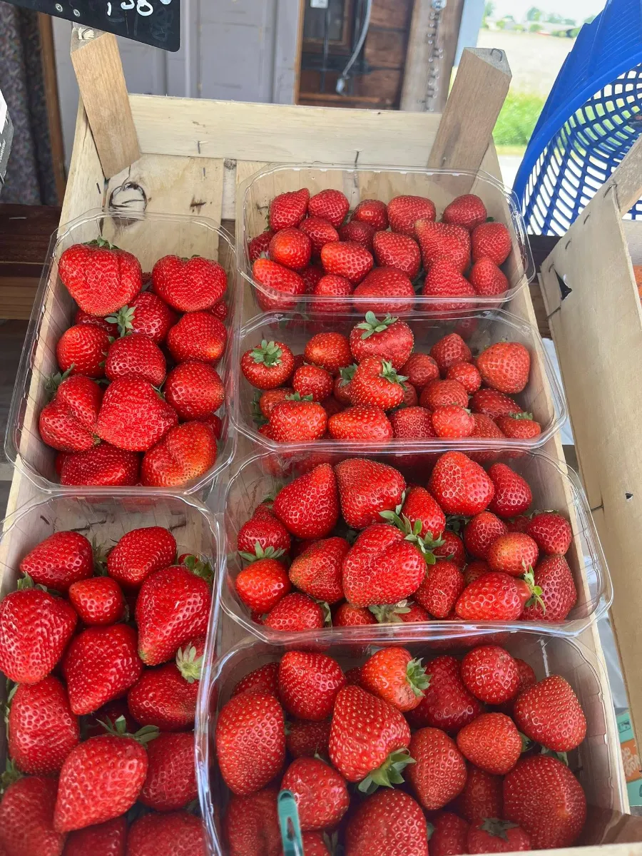 Fraise