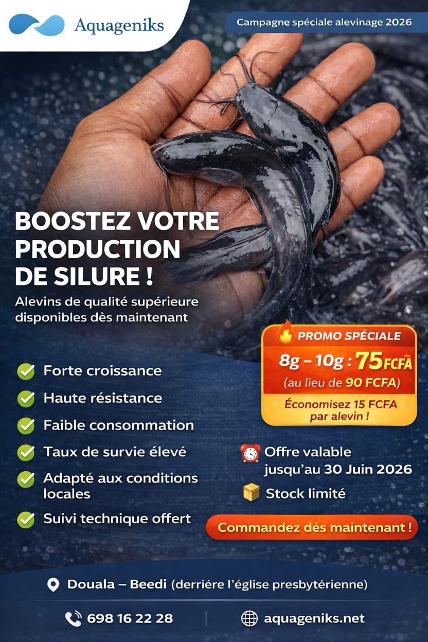 Alevins Aquageniks en promo