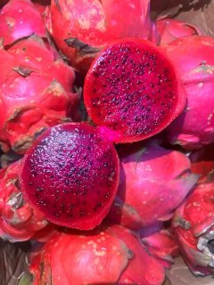 plants de fruit du dragon en vente. — photo 1