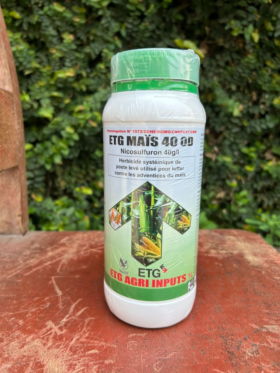ETG maïs( nicosulphuron