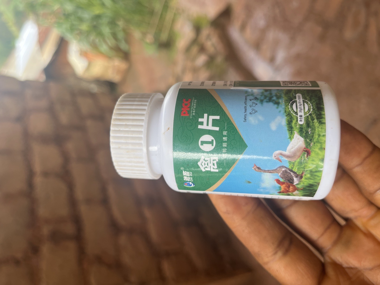 médicaments pour les poules