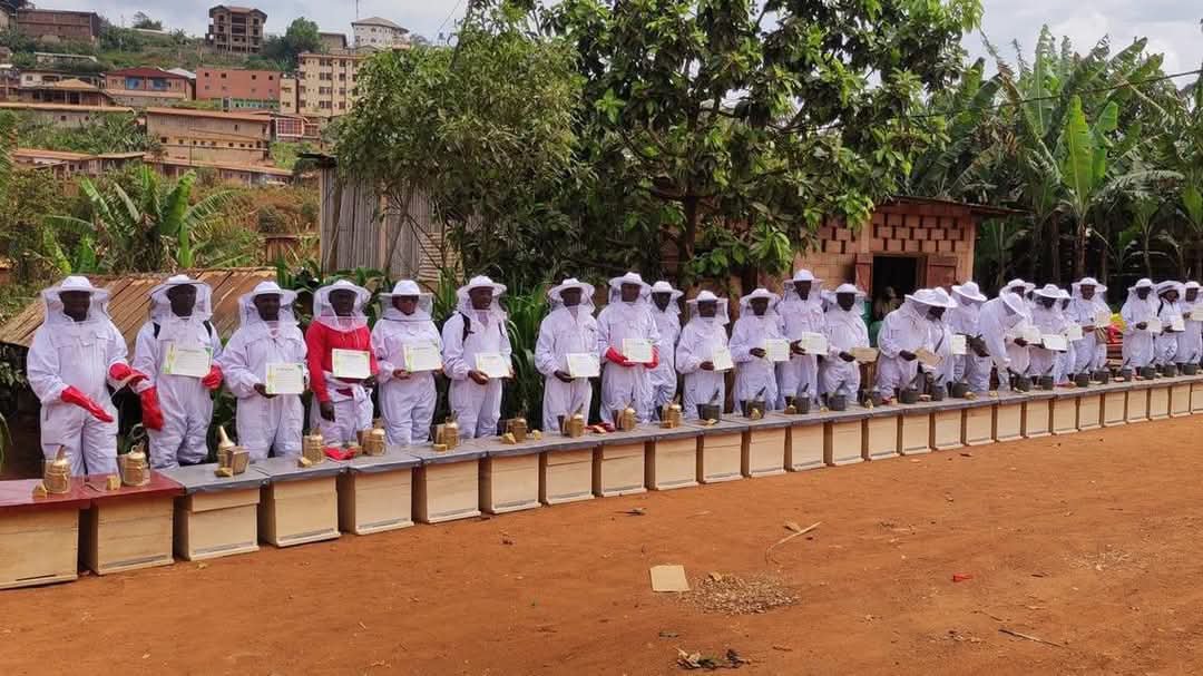Apiculture professionnel
