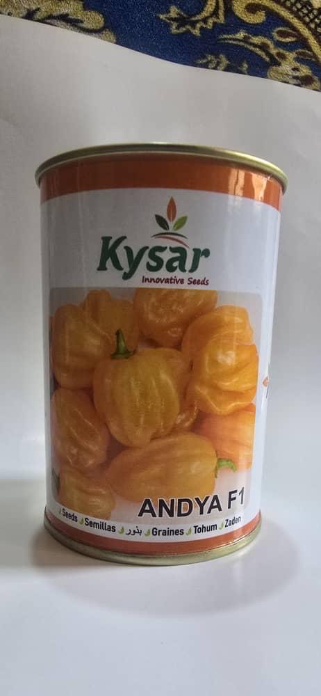 vente des semences produits maraîchère en gros