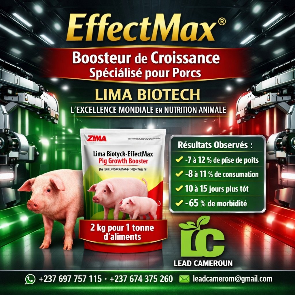 bousteur de croissance LIMA BIOTECH pour porcs 🐷🐖