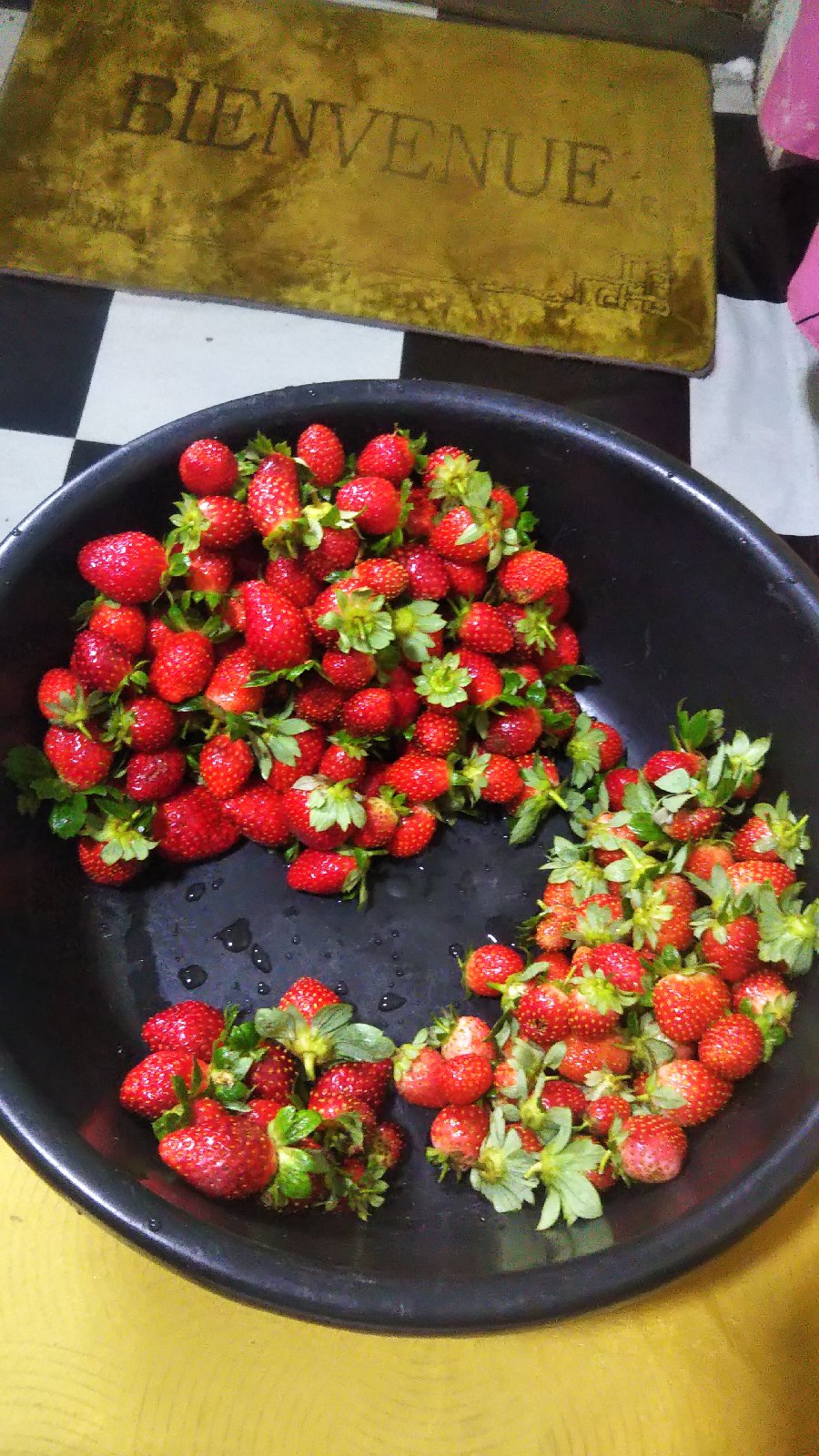 plants de fraisiers et fruits de fraises a vendre,je sur Yaoundé, livraison et expéditi