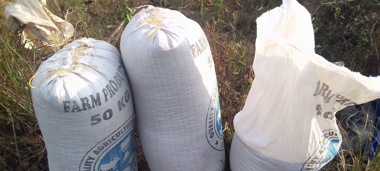 vente haricots, rouges et noirs petit grains, gros grain tacheté