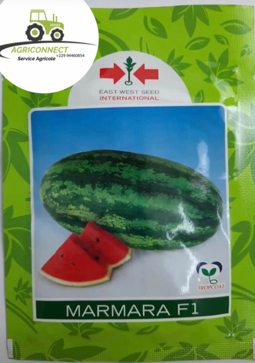 Pastèque Marana F1