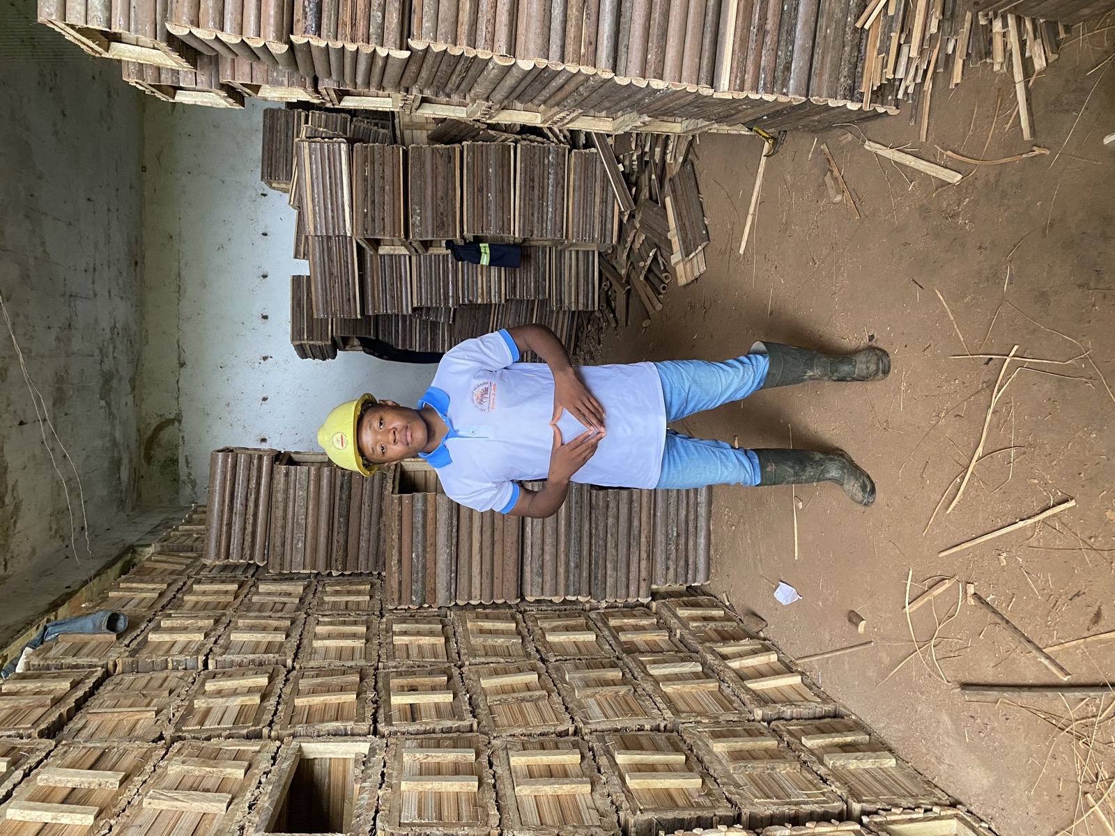vente des colonies d’abeilles