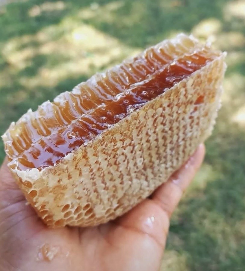 l’apiculture pilier du Développement