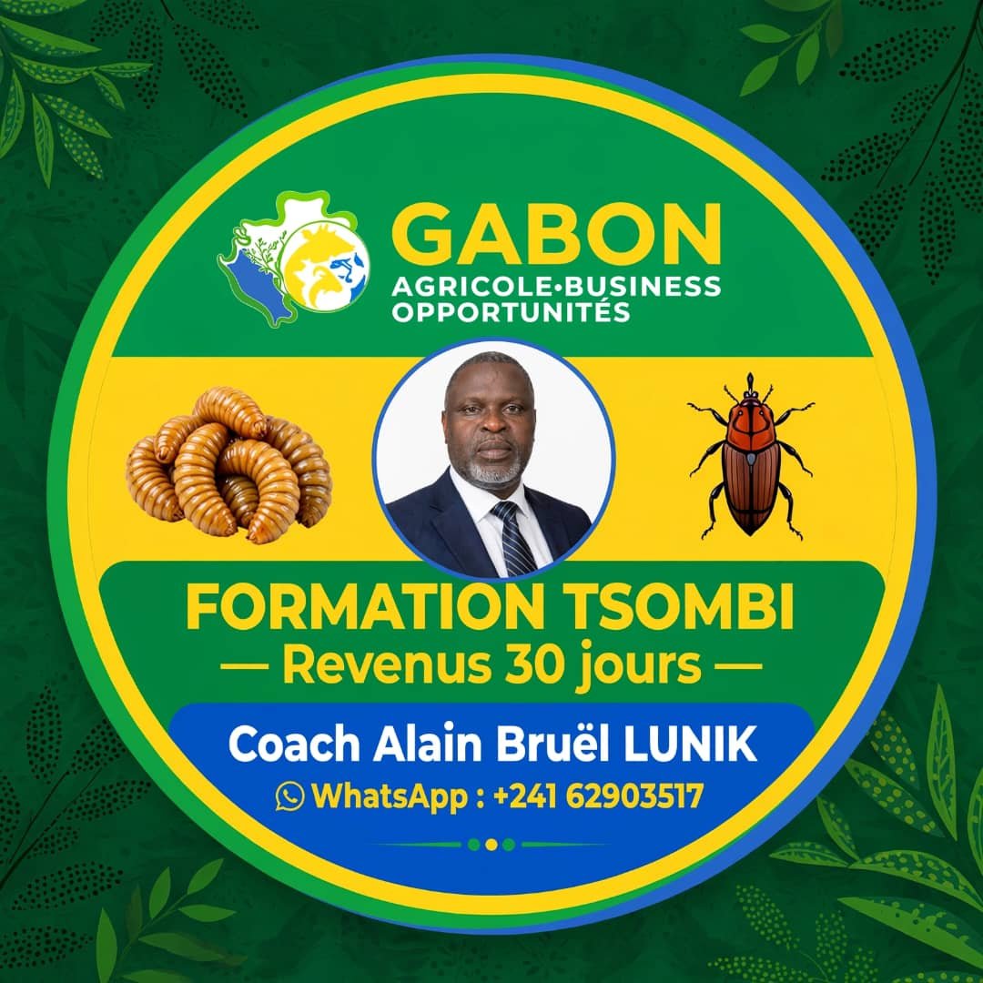 Formation sur la culture des TSOMBI (Hannetons de palmiers à huile)à domicile
