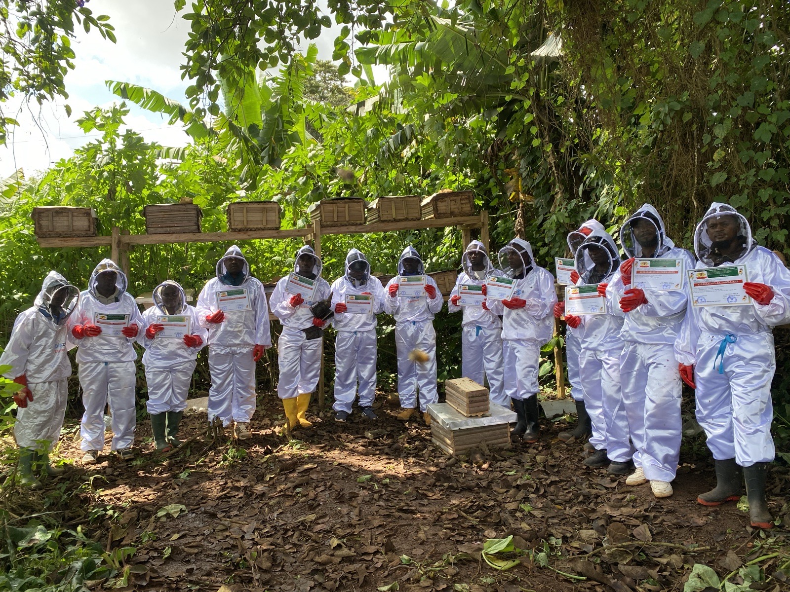 formation professionnelle et hautement écologique en apiculture moderne