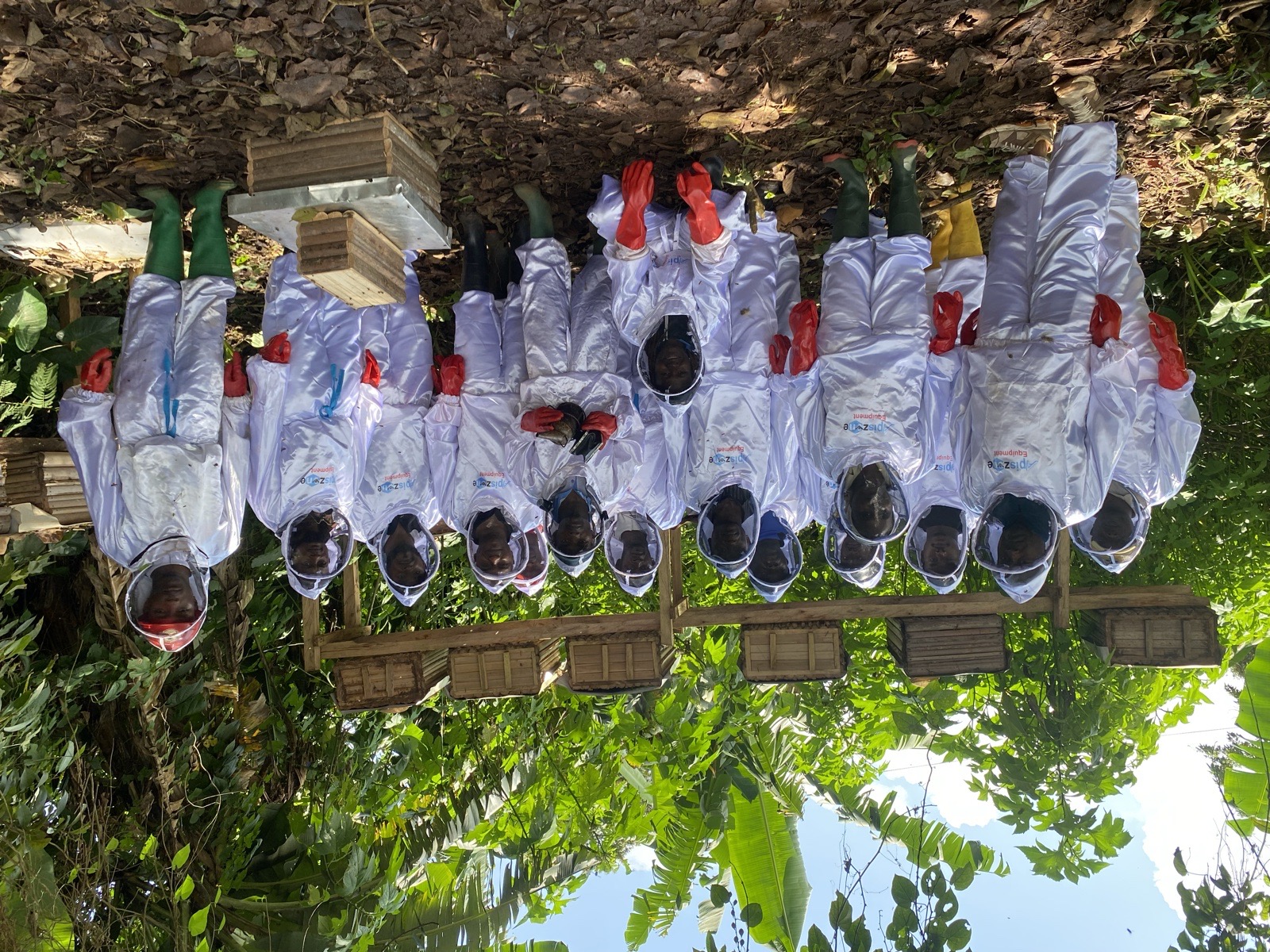 Formation en apiculture moderne et hautement écologique pour une pratique apicole durable