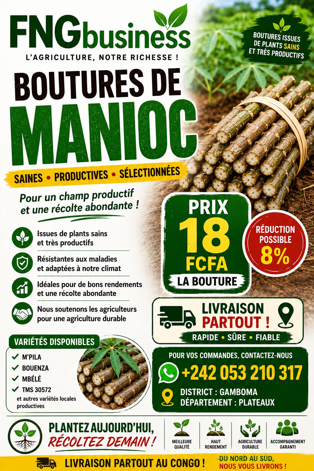 Boutures de manioc sélectionnées – 18 FCFA l'unité | Livraison partout au Congo — photo 1