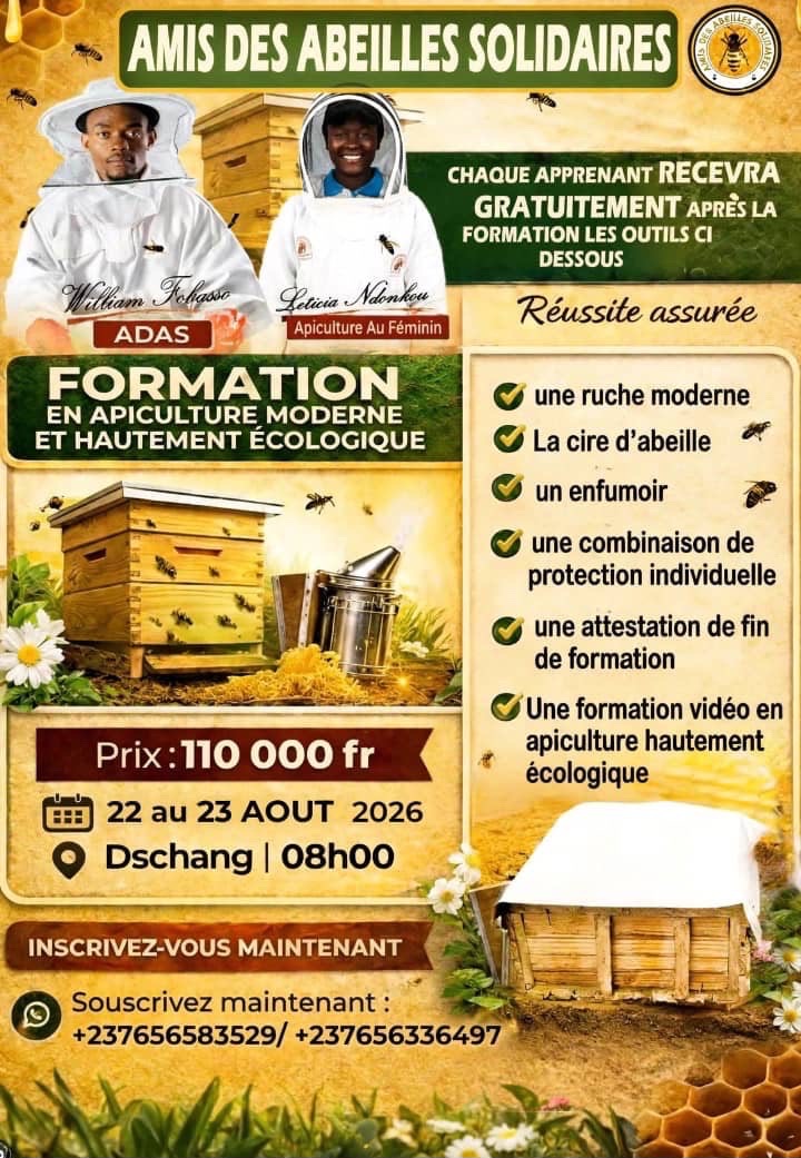 Formation professionnelle en apiculture moderne