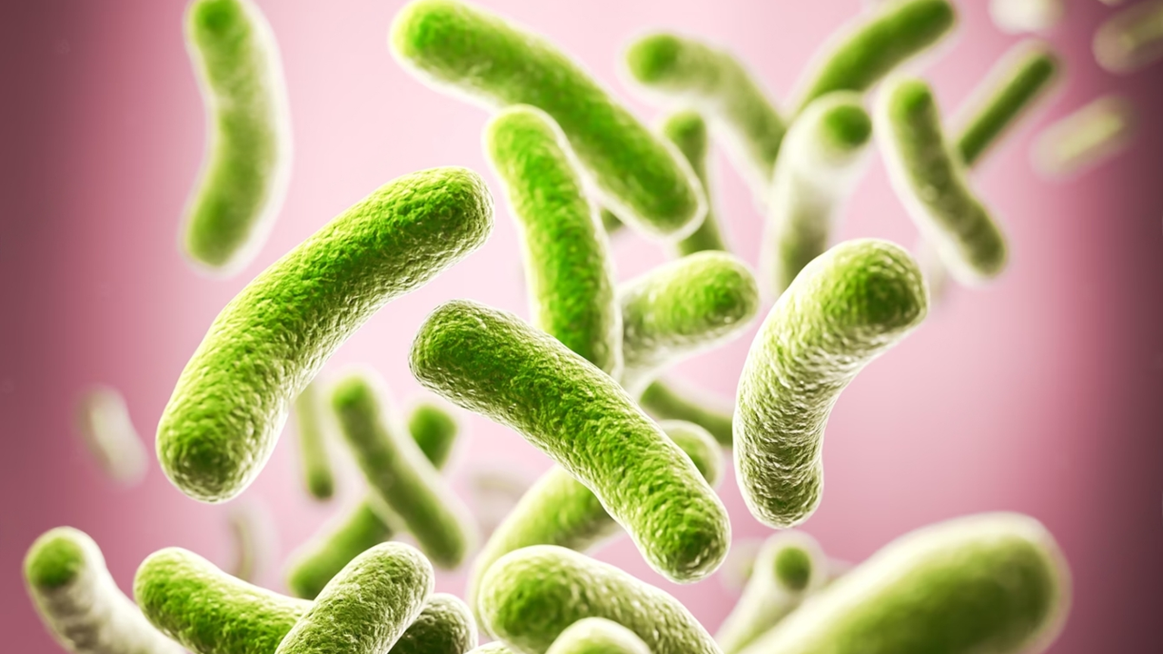 Antibiotic Overuse in Farming Threatens Human Immune System, Study Warns