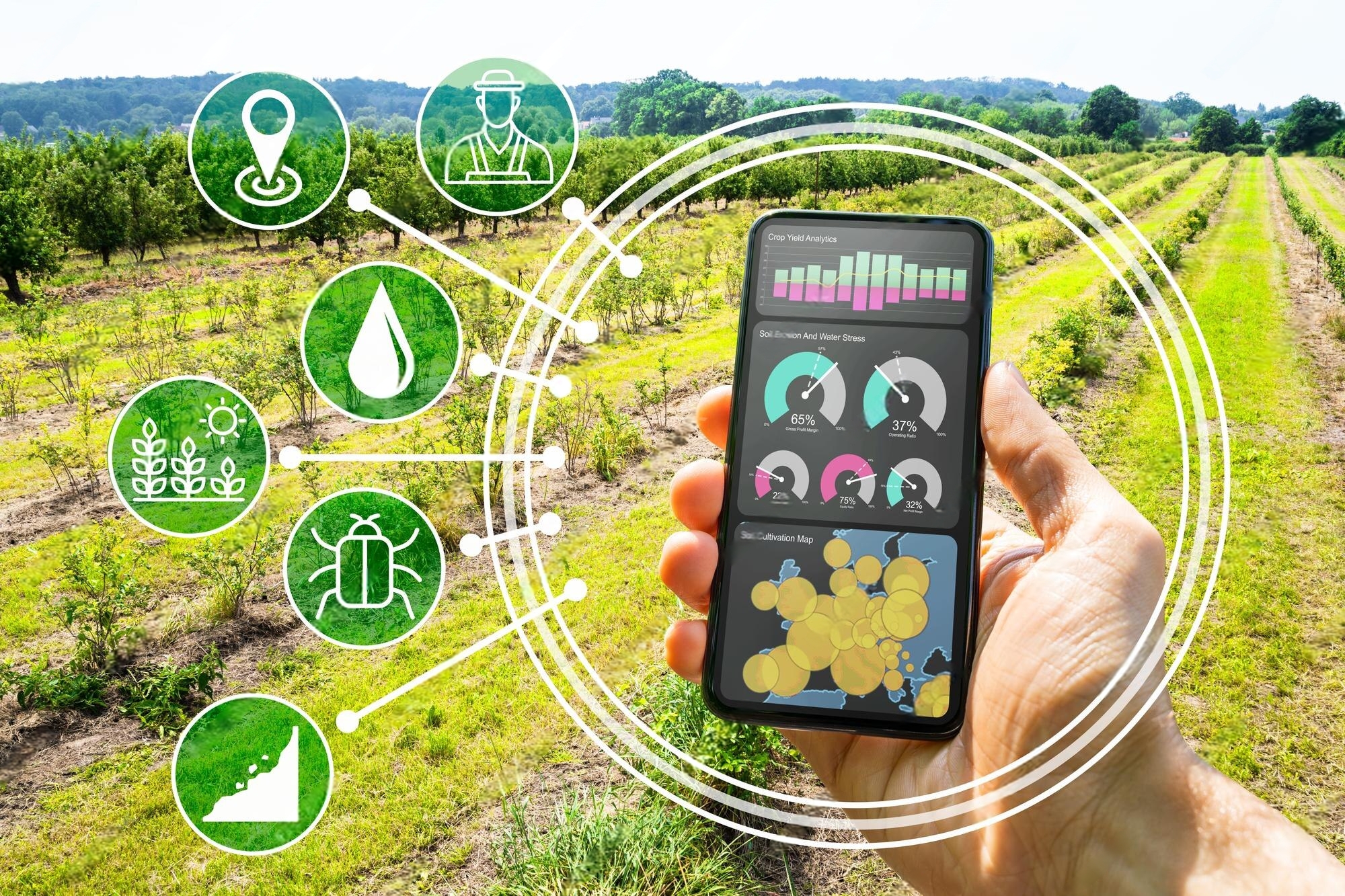 AgTech Adoption: Trends, Opportunities, and Challenges for Farmers