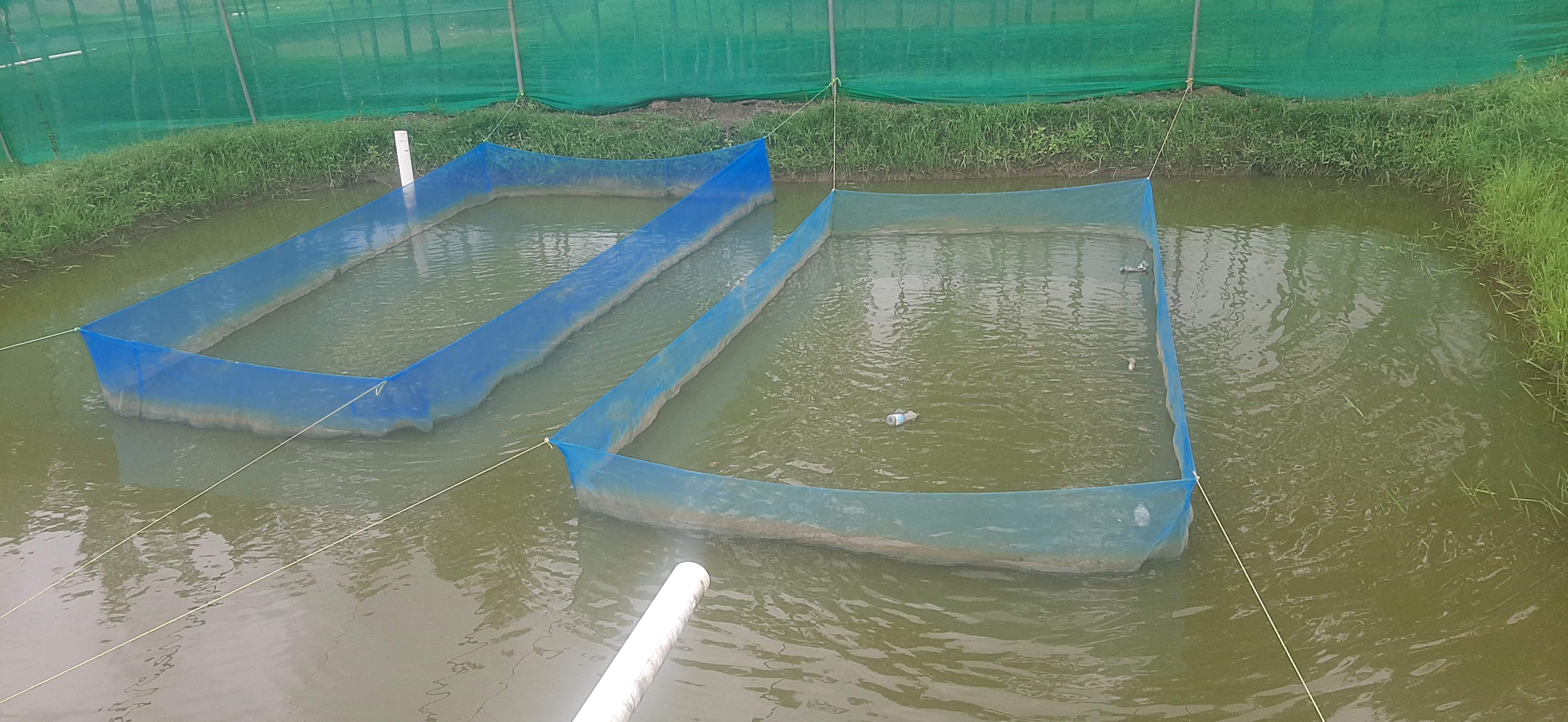 Aquaculture Masters Kenya