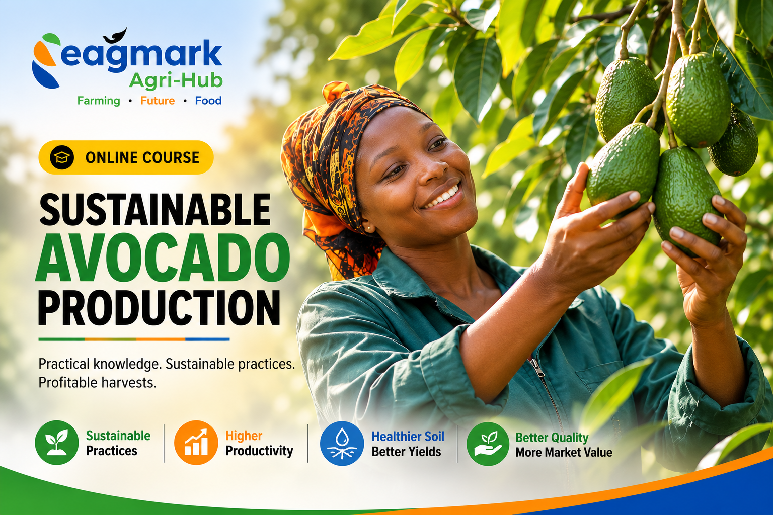 Sustainable Avocado Production
