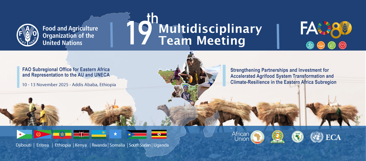 19th Multidisciplinary Team Meeting (MDT-19) of FAO Eastern Africa