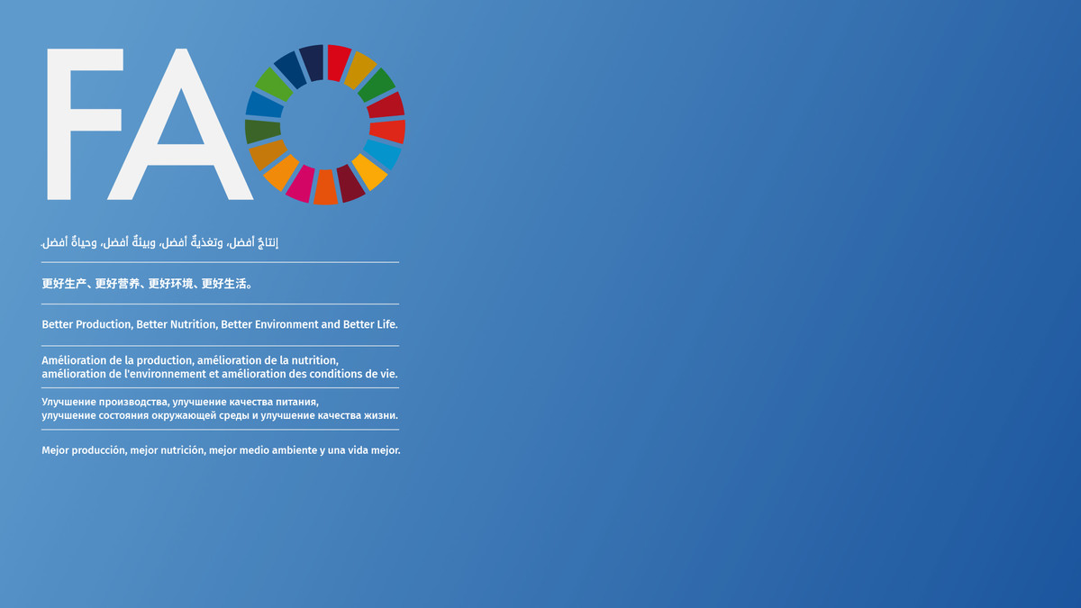 Youth-led Solutions: Advancing Young Women's and Girls' Rights, Achieving Food Security and Improving Nutrition