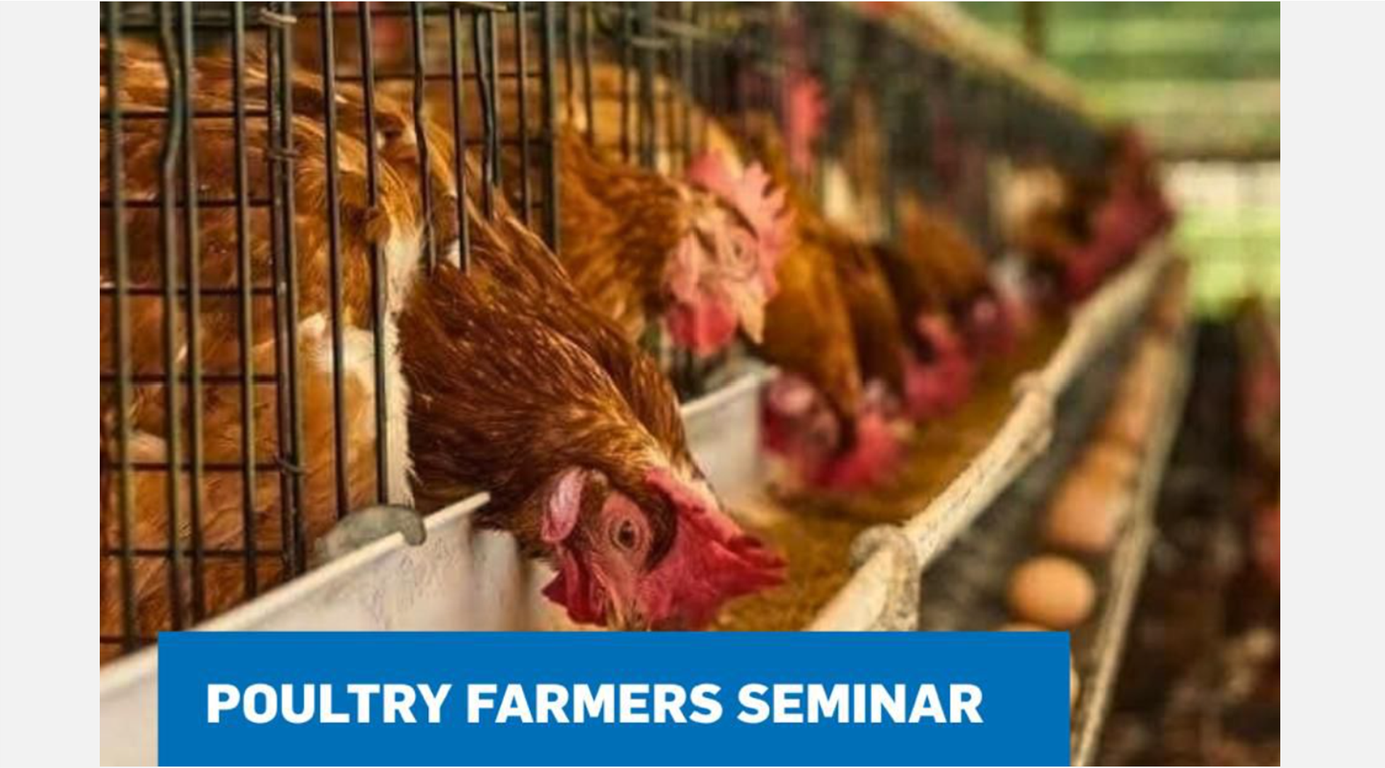 De Heus Poultry Seminar 