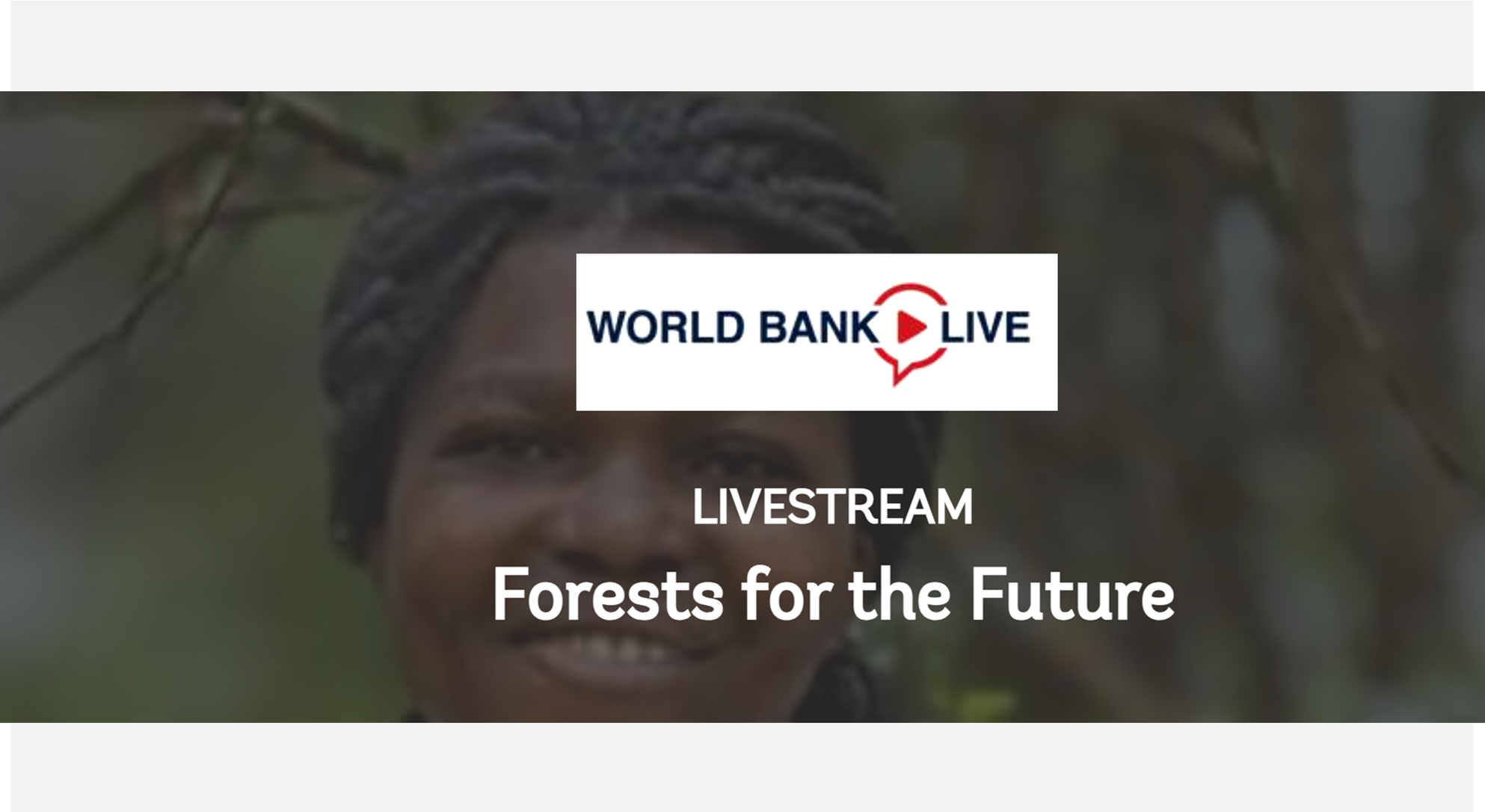 Forests for the Future