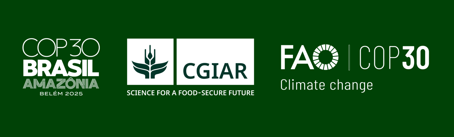 United Nations Framework Convention on Climate Change (UNFCCC)