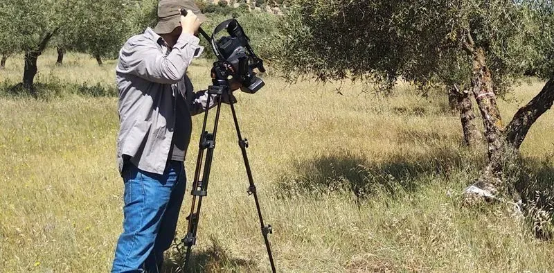 quixote