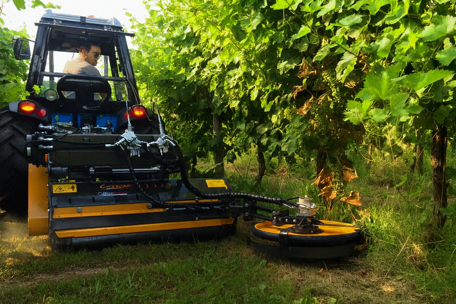 Trituradores