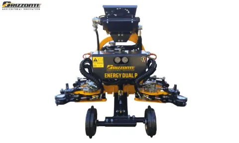 ENERGY DUAL P