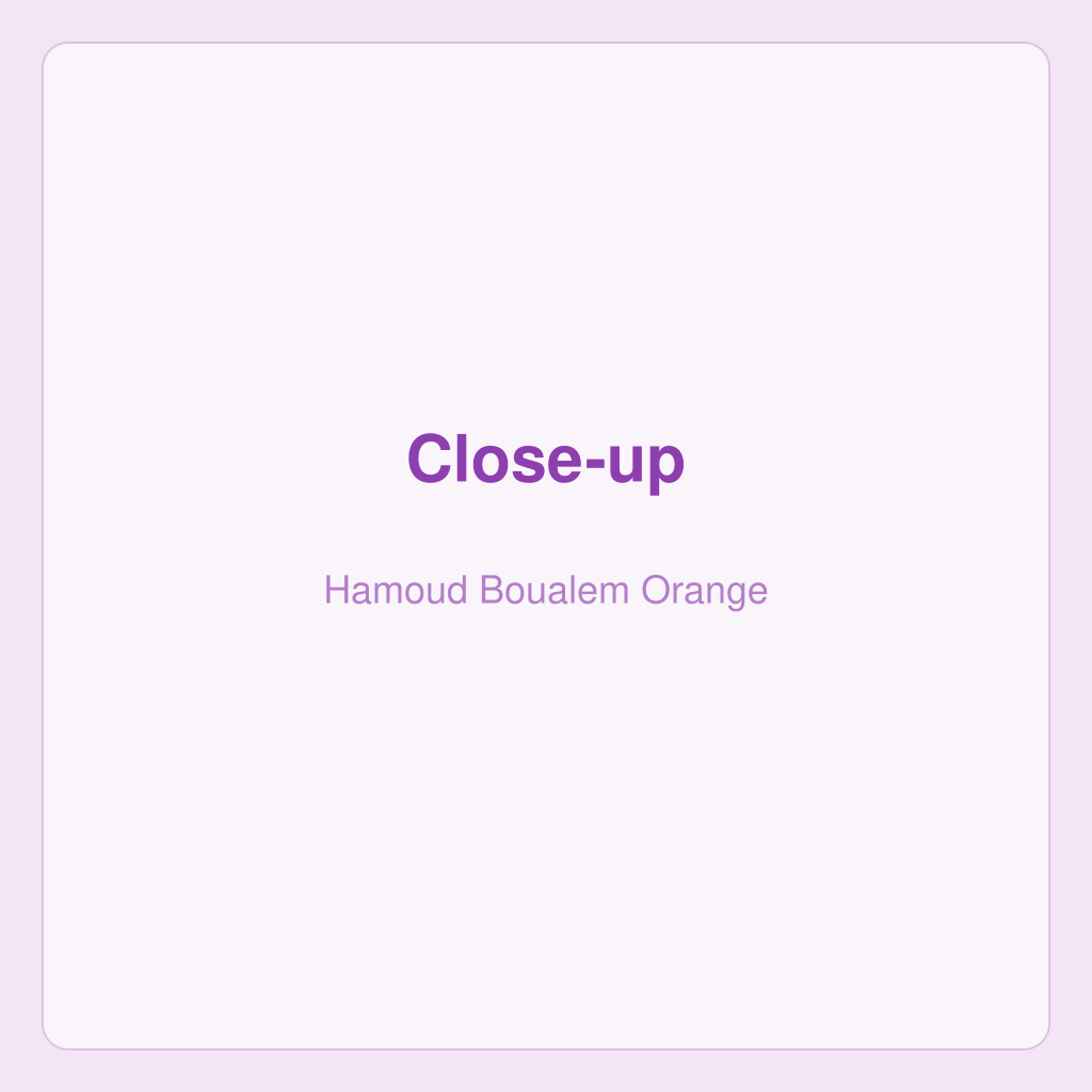 Hamoud Boualem Orange — photo 5