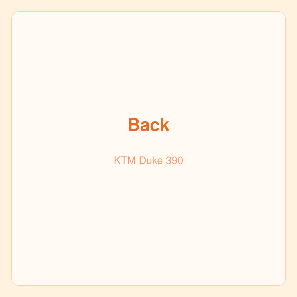 KTM Duke 390 — photo 4
