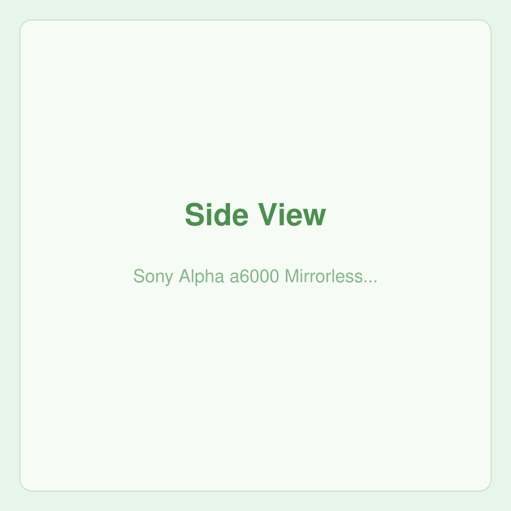 Sony Alpha a6000 Mirrorless Camera — photo 2