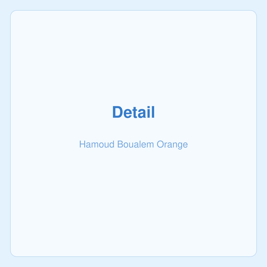 Hamoud Boualem Orange — photo 3