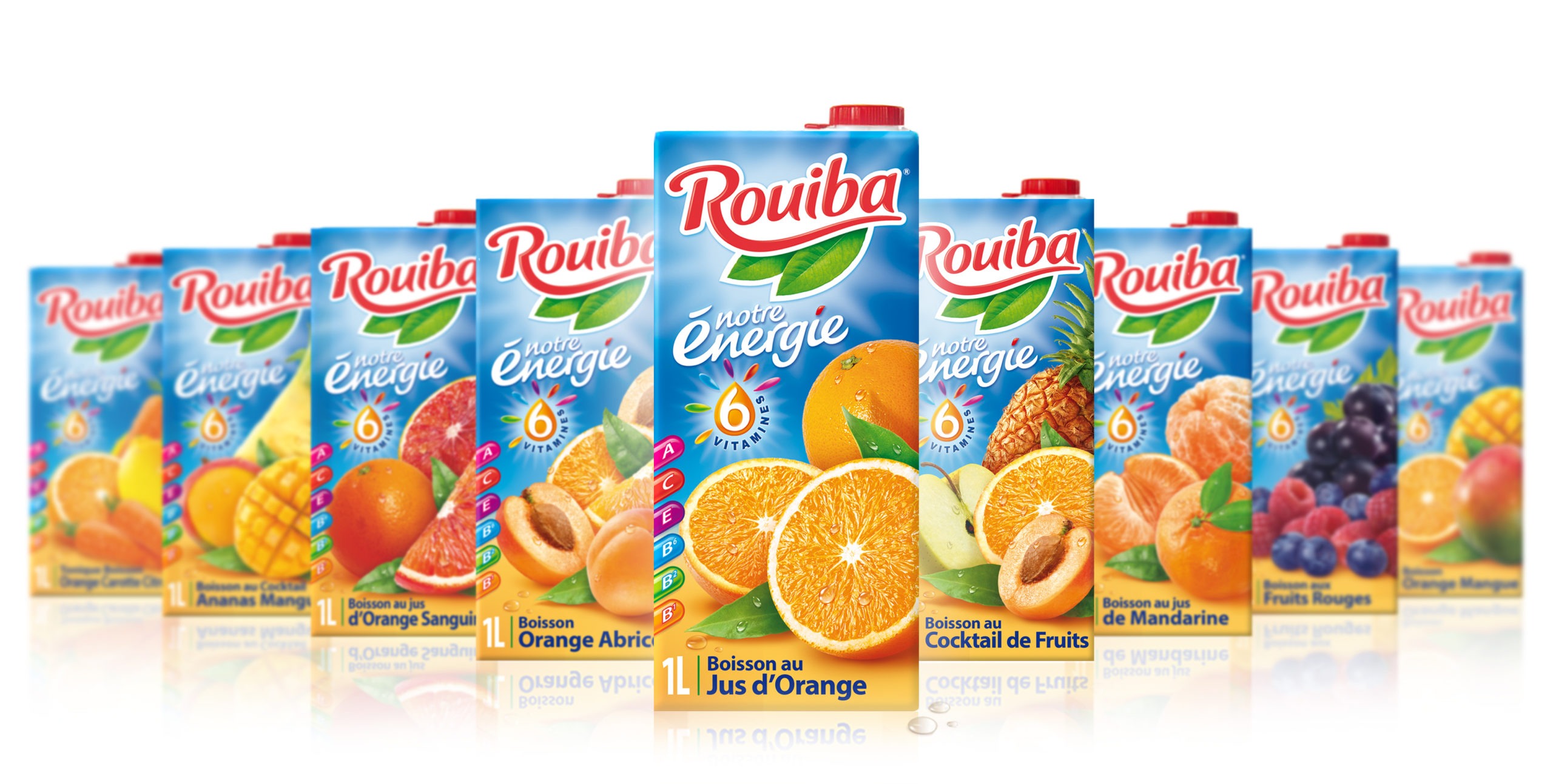 Rouiba Mixed Fruits Nectar