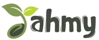 logo ahmy store