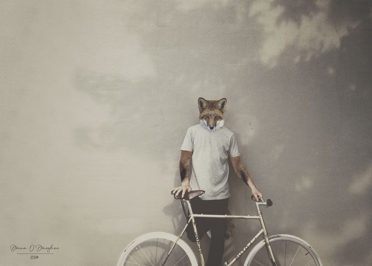 Foxy Dude by New Zealand artist Donna O’Donoghue