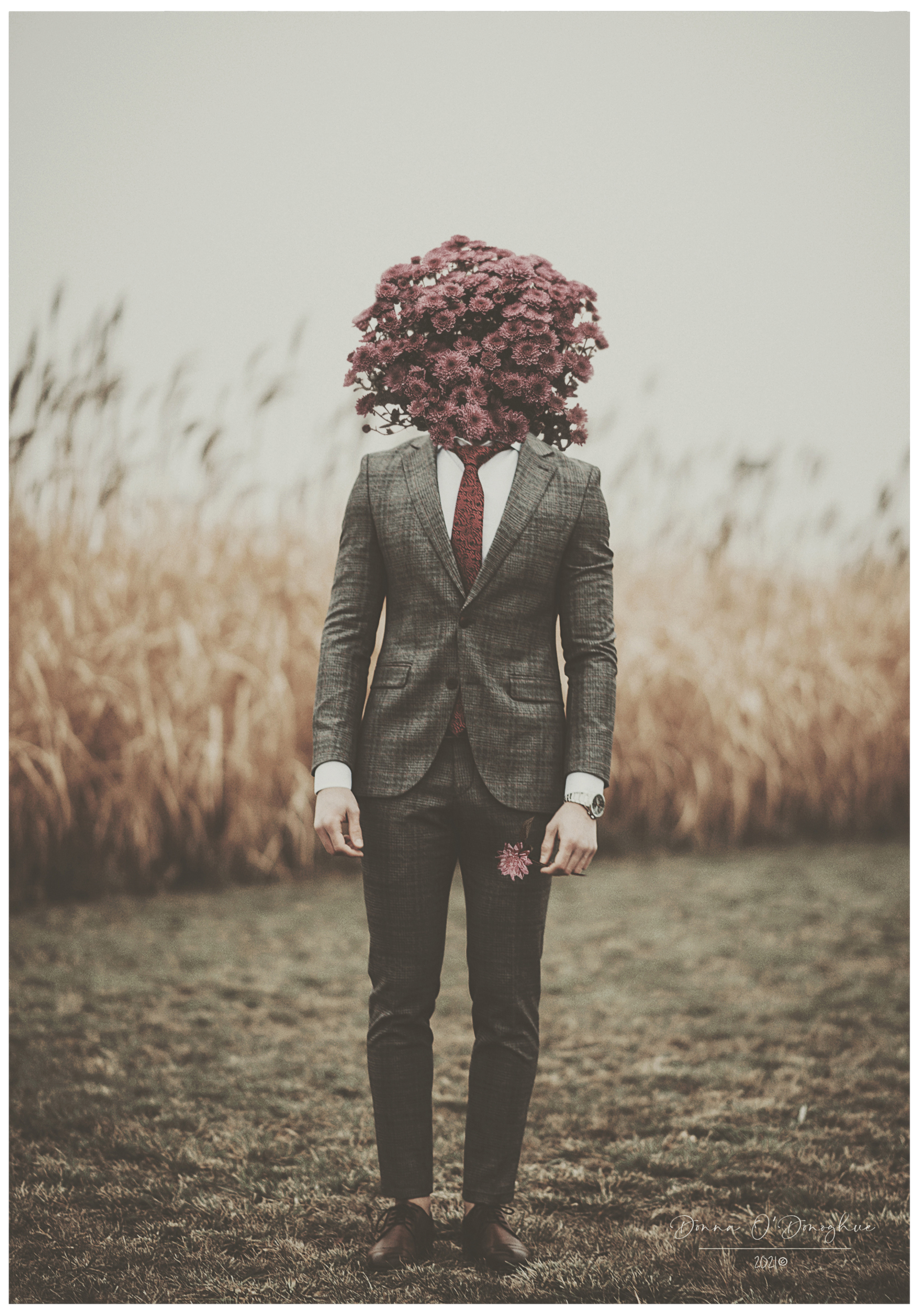 Best Said with Flowers surreal art print by Donna O’Donoghue featuring a suited man with a large burgundy flower head standing in a muted field.
