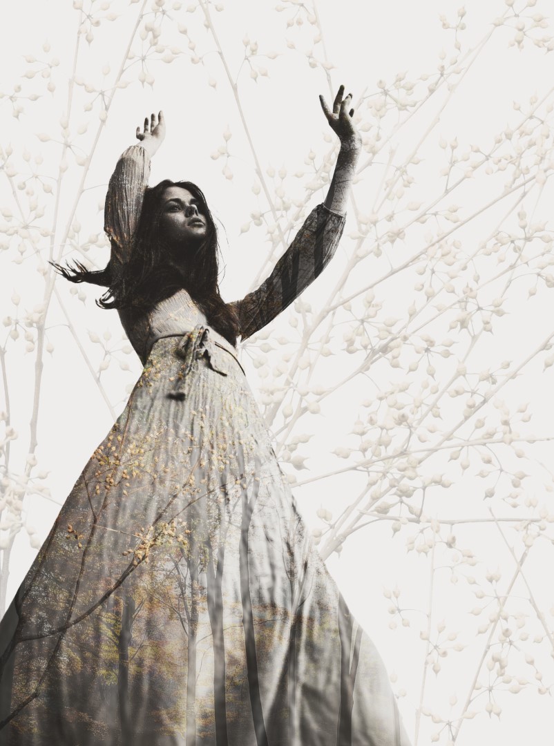 Celebrate surreal art print by Donna O’Donoghue featuring a woman raising her hands among layered woodland imagery and delicate pale botanical stems.