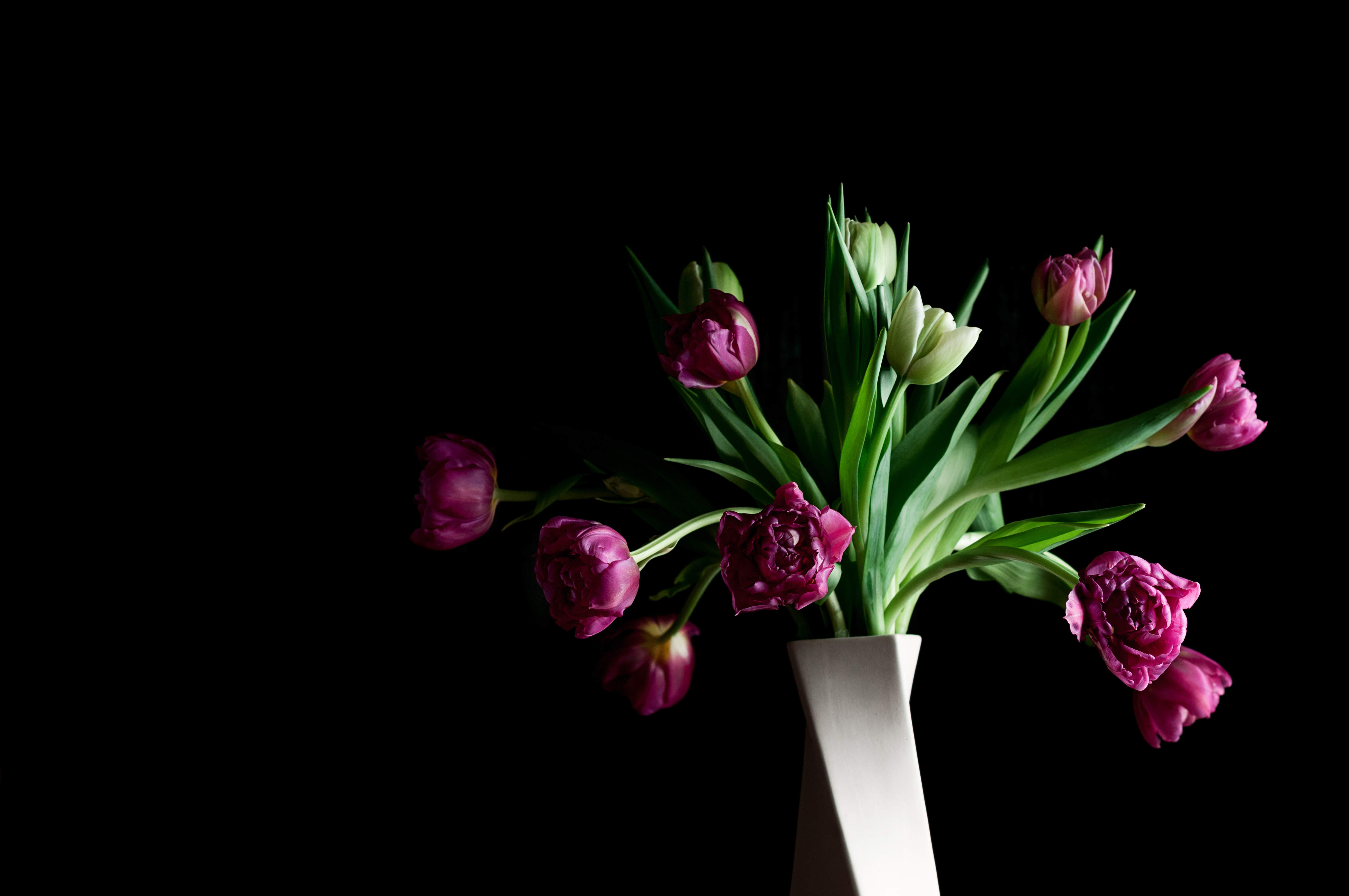 We Create Memories floral background