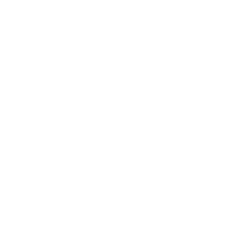Logo 9
