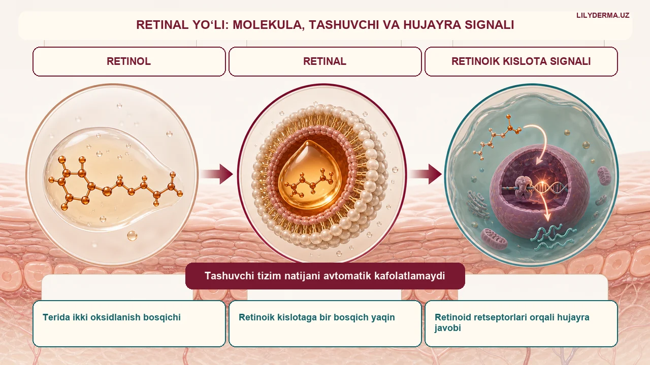 Retinal “2%” yorlig‘ini to‘g‘ri o‘qish: sof aktiv va kompleks farqi — jurnal rasmi 2