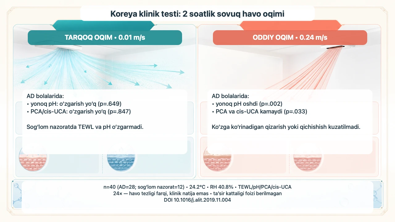 Konditsionerli xonada teri tortishsa: toner–ampula–kremni qatlamlash — jurnal rasmi 3