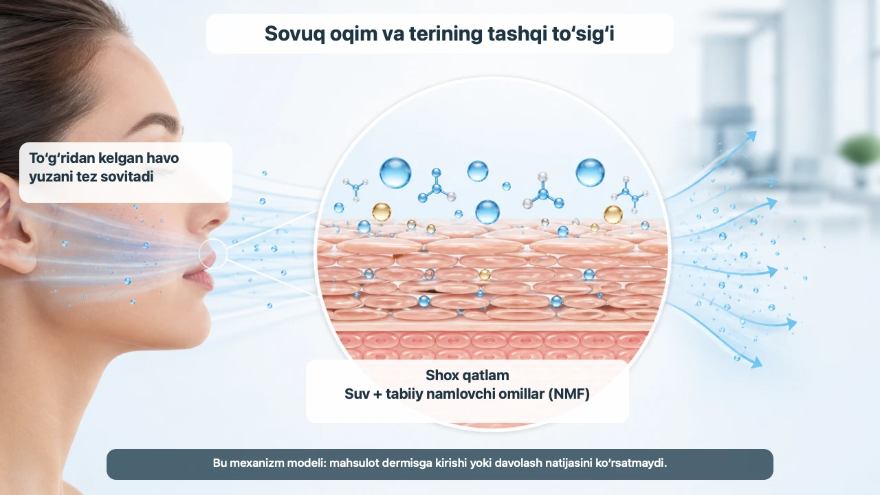 Konditsionerli xonada teri tortishsa: toner–ampula–kremni qatlamlash — jurnal rasmi 2